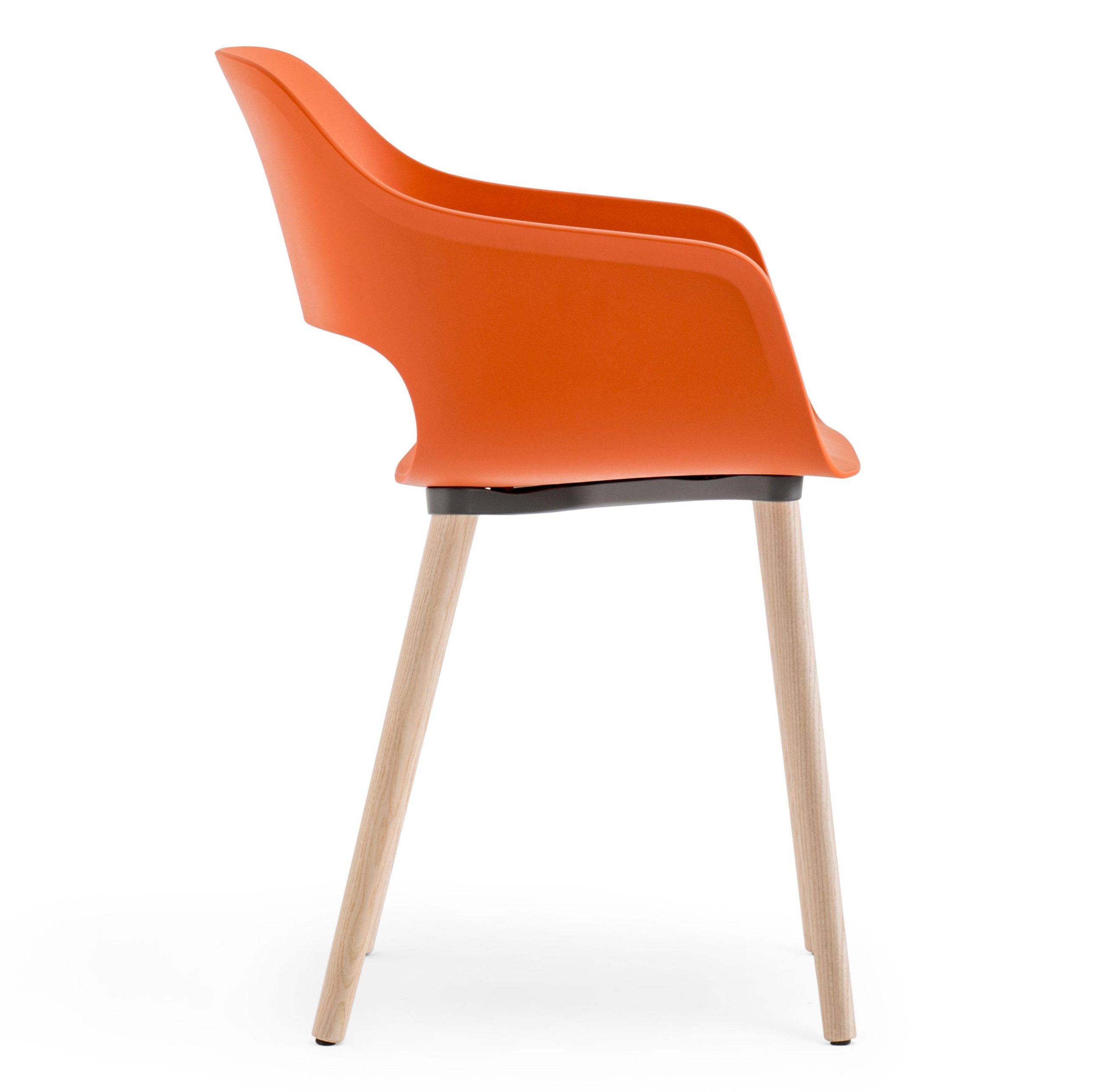 Babila armchair 2755 – Pedrali - Image 3